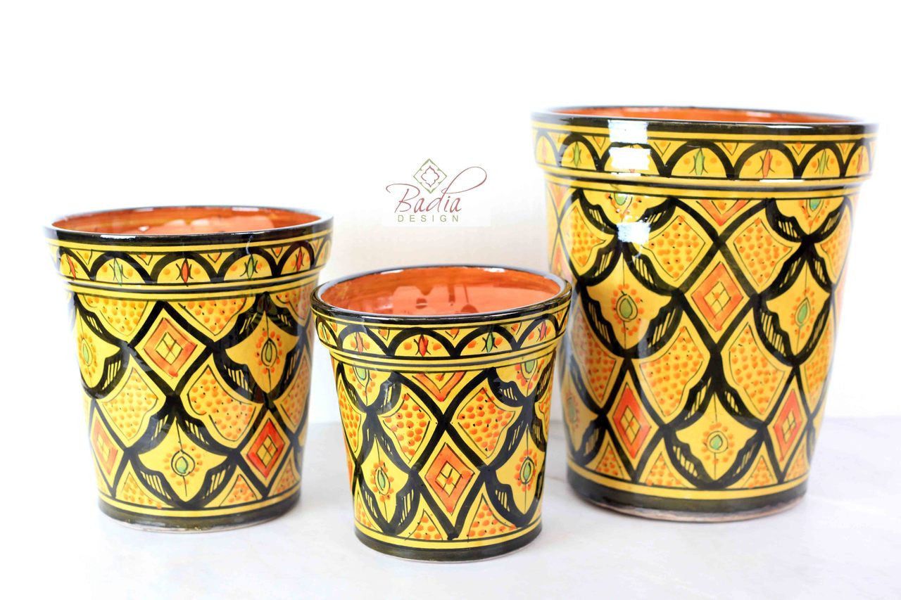 Stylish Hand Painted Ceramic Planter