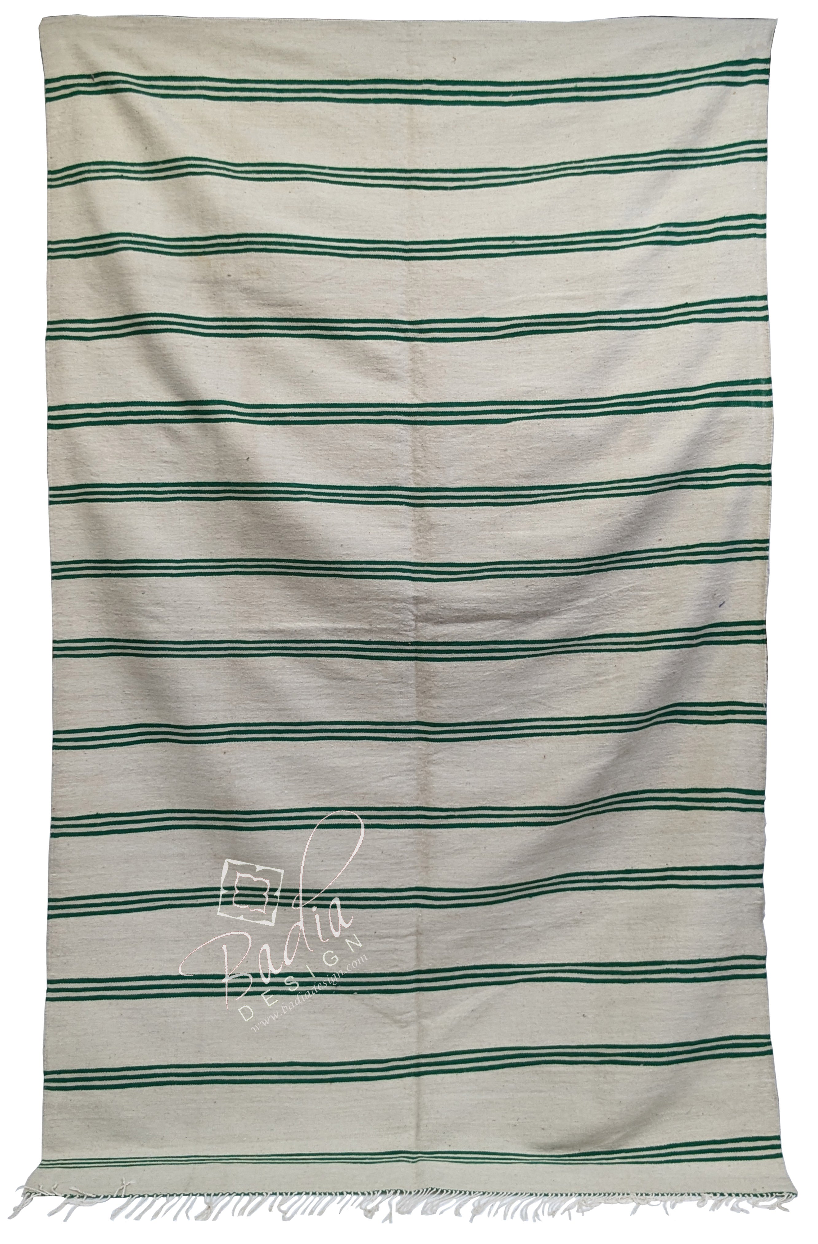 Moroccan Beige and Green Berber Wool Rug