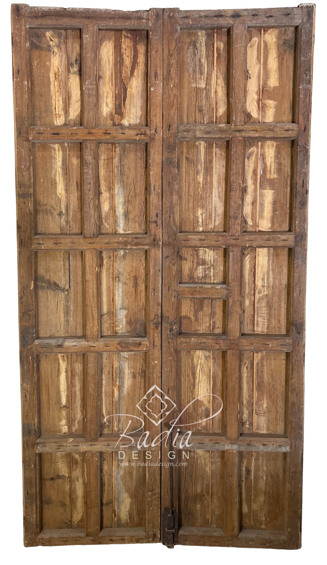Wooden Double Door with Hand Painted Medallion Designs