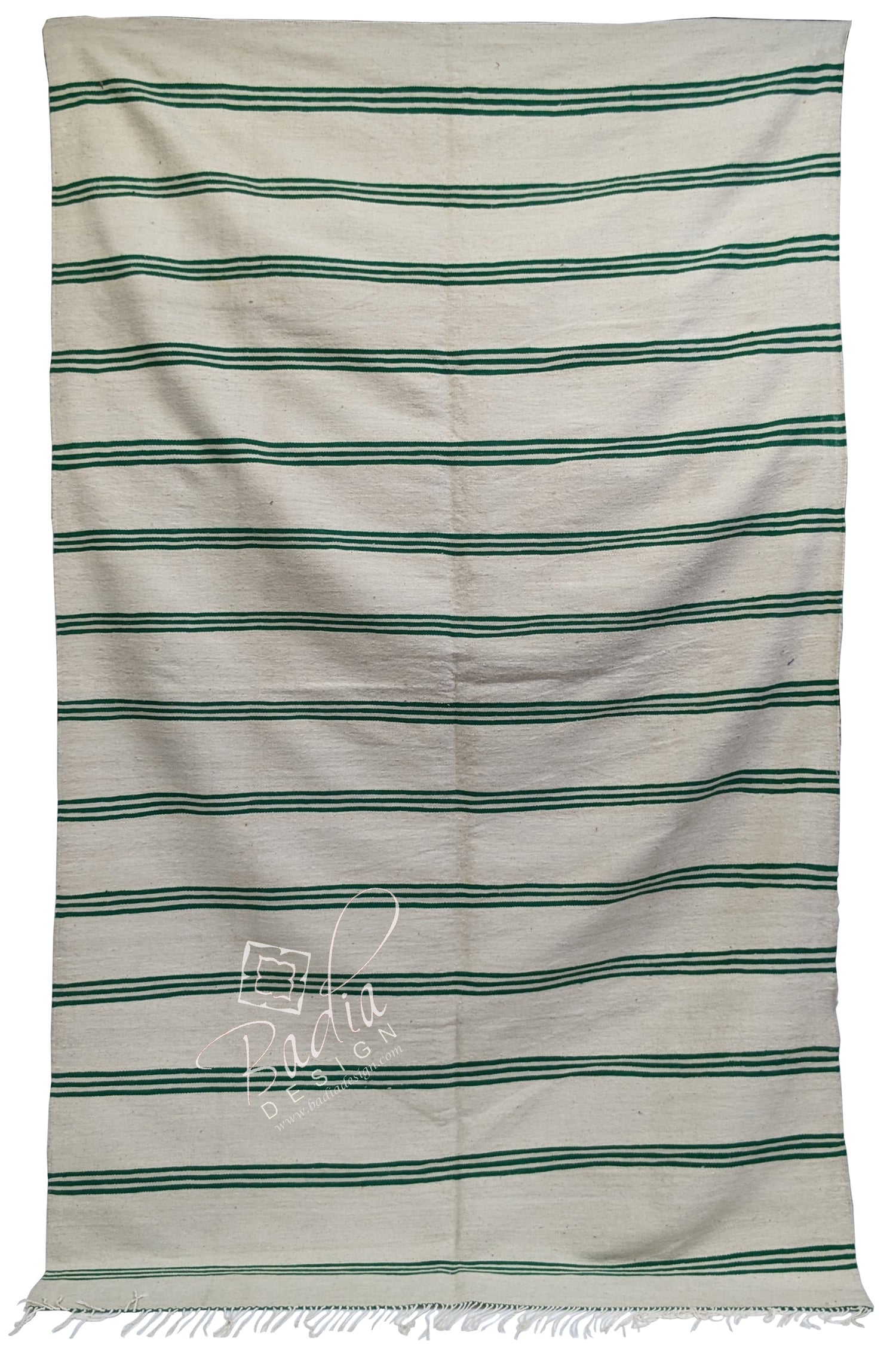 Moroccan Beige and Green Berber Wool Rug