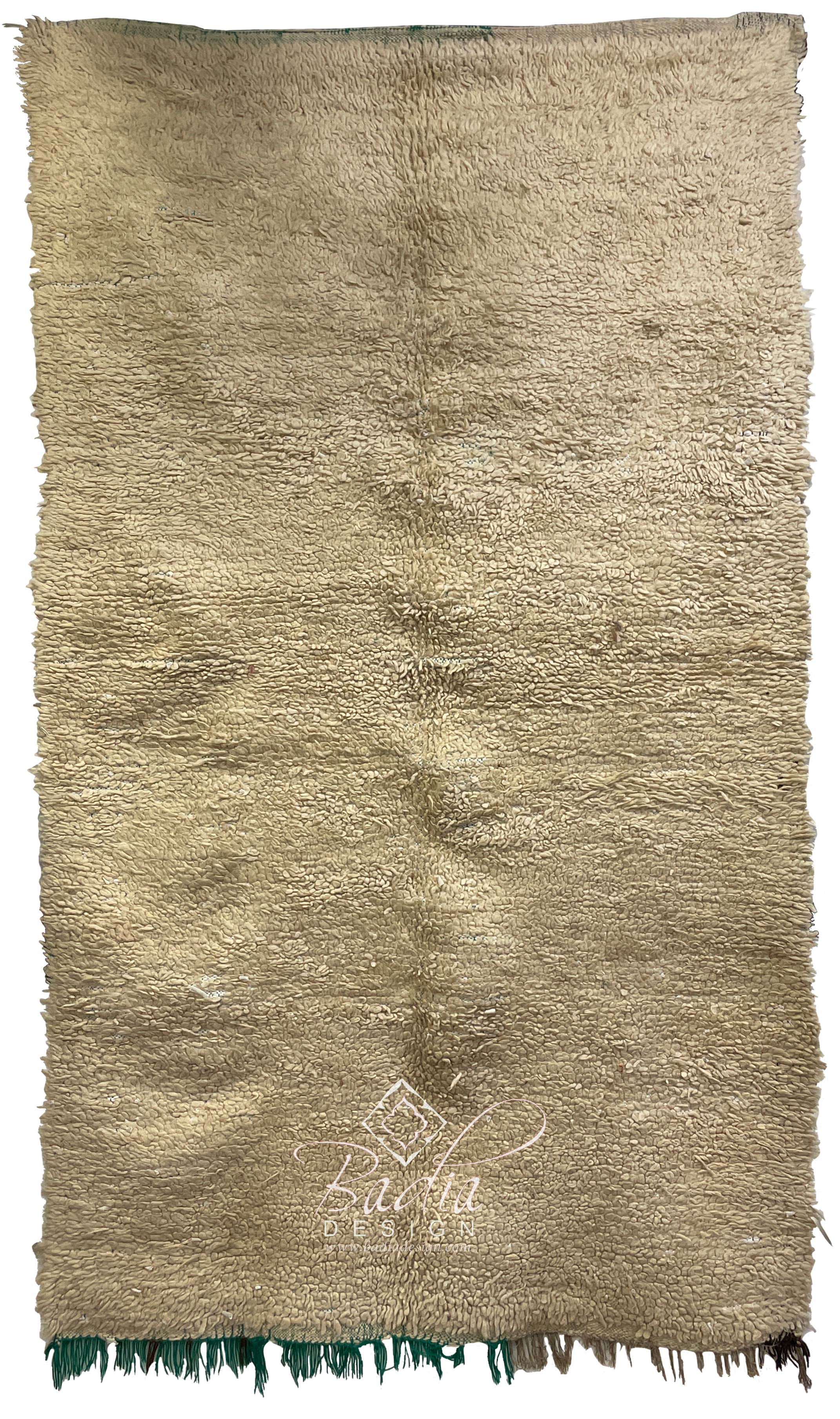 Medium Size Beige Area Rug