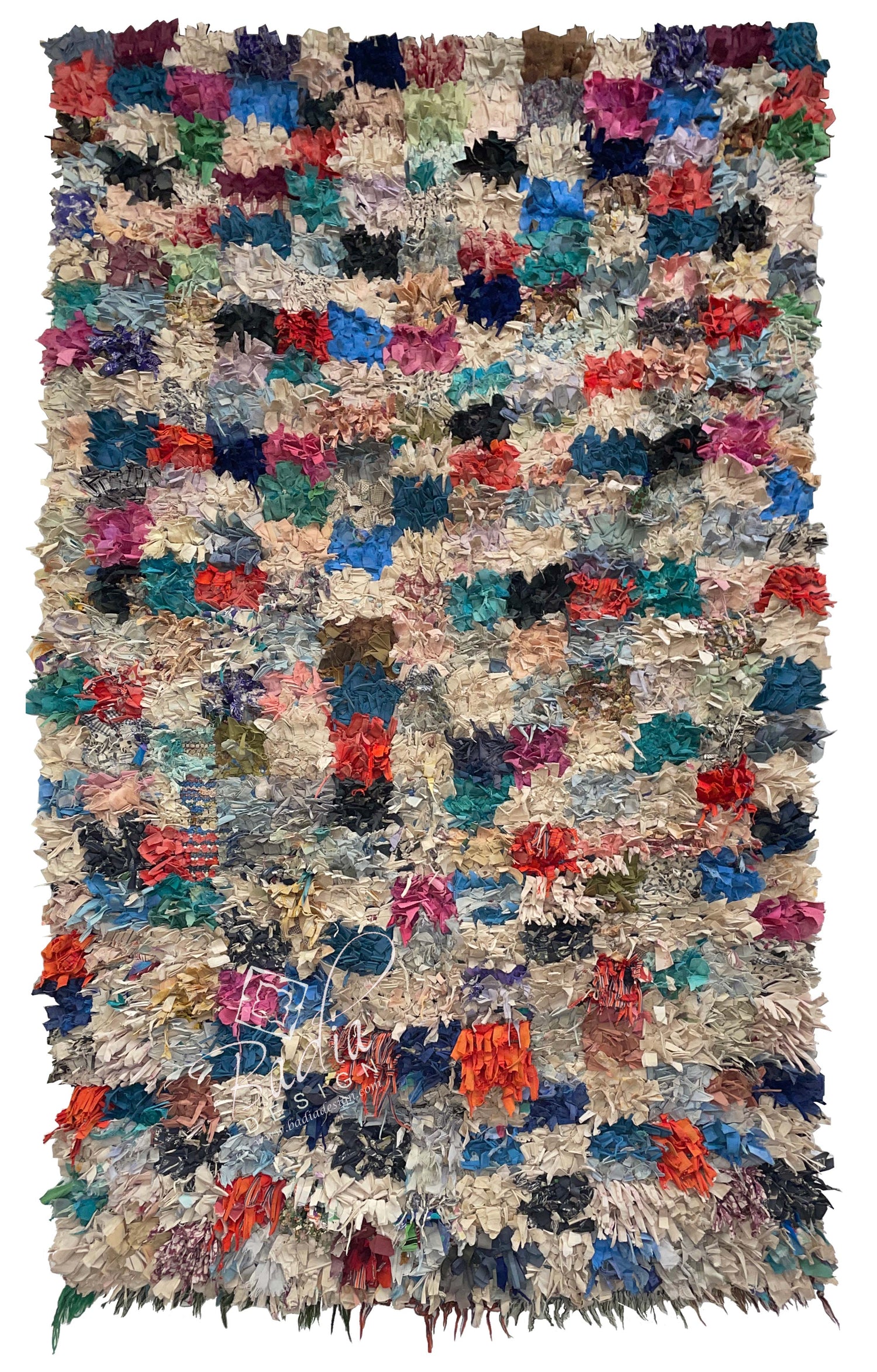 Multi-Color Shaggy Rug