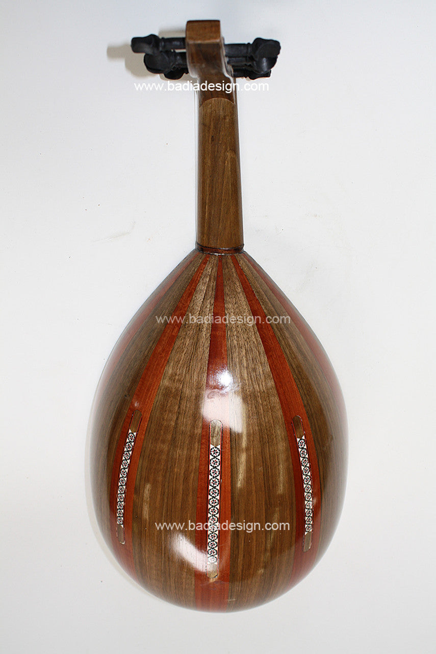 Moroccan Lute Instrument