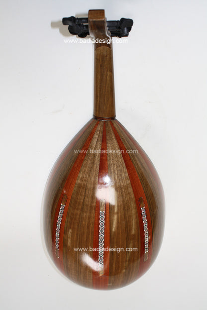 Moroccan Lute Instrument